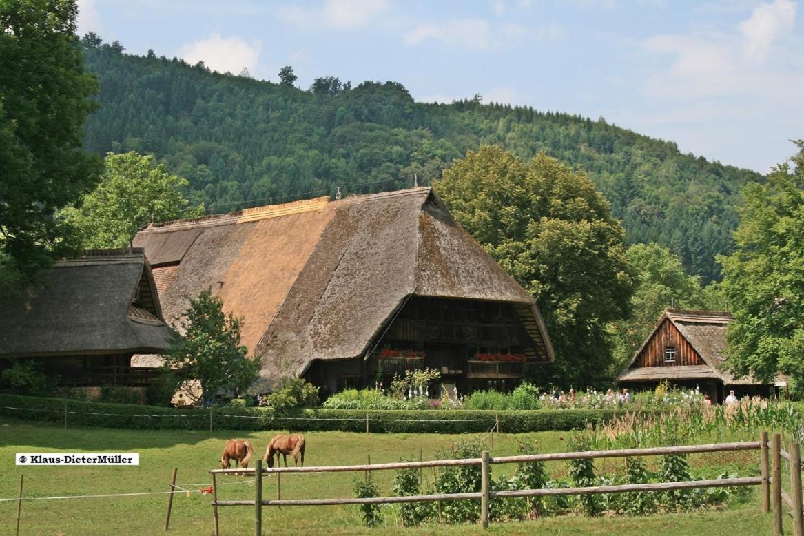 Haus Am Waldrand Villa Triberg im Schwarzwald Exterior photo