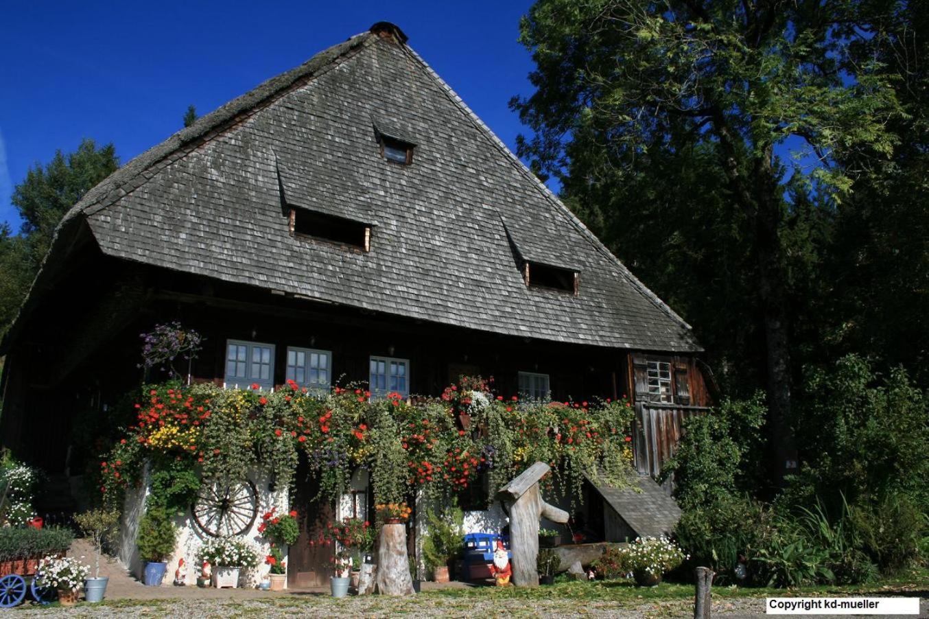 Haus Am Waldrand Villa Triberg im Schwarzwald Exterior photo