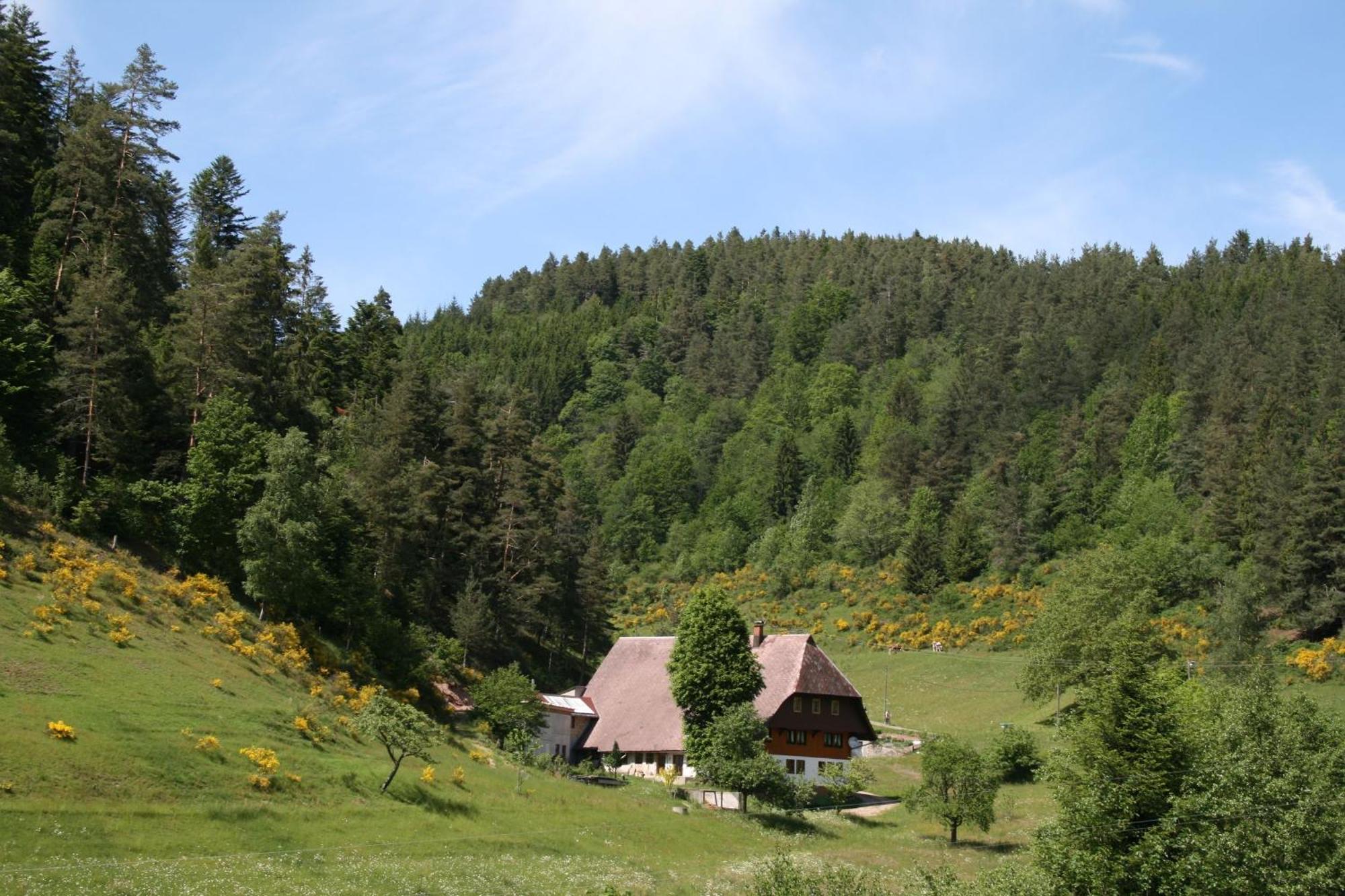 Haus Am Waldrand Villa Triberg im Schwarzwald Exterior photo